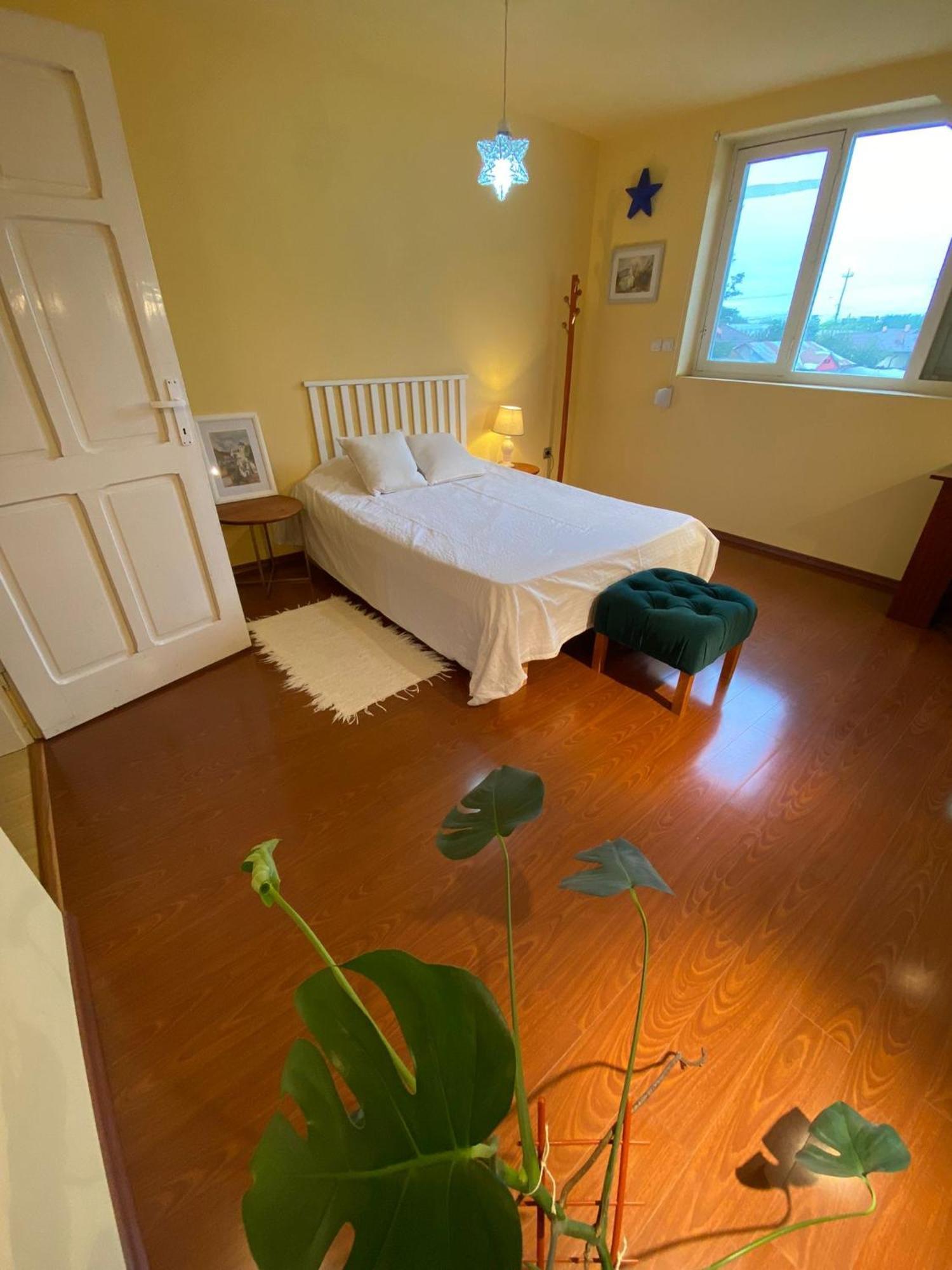 Cosy Bedroom For 2 With Balcony In A Family Villa Turnu Magurele Екстер'єр фото