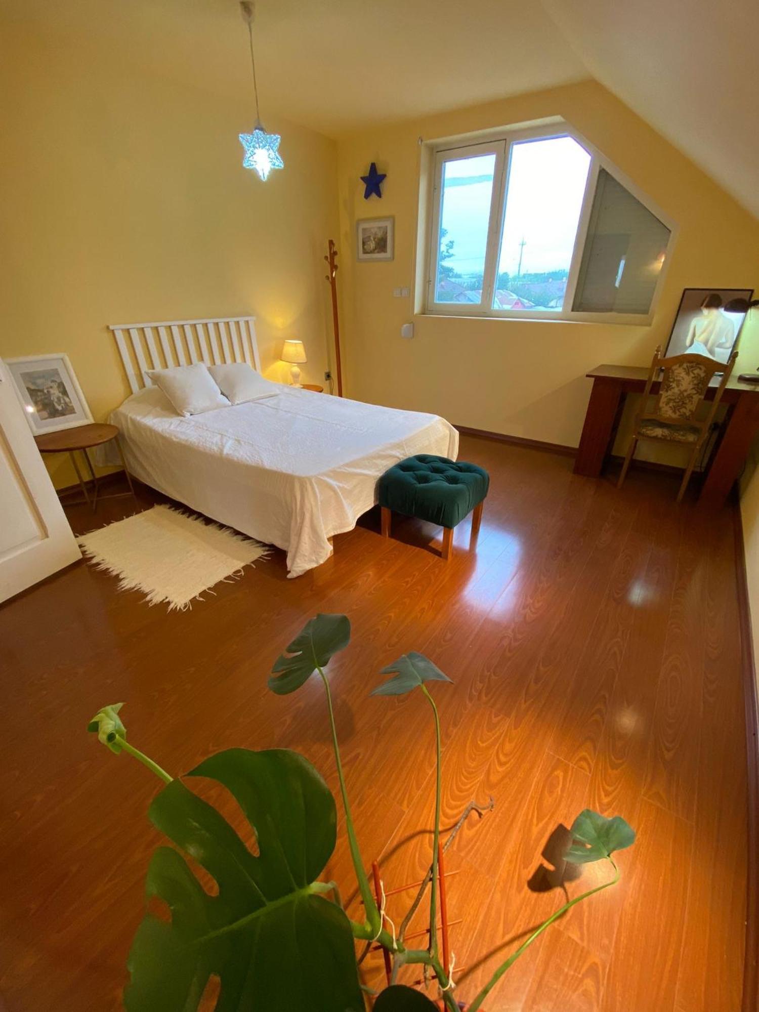Cosy Bedroom For 2 With Balcony In A Family Villa Turnu Magurele Екстер'єр фото